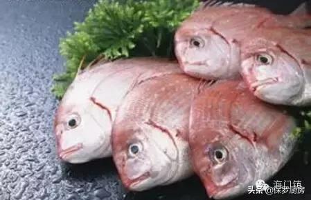 海鲜市场里常见的“海鲜种类”，你认识多少？是否一看到就呆了？