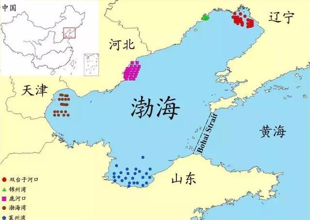 中国海鲜地理大全